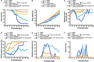 In Utero Administration of Drugs Targeting Microglia Improves the Neurodevelopmental Outcome Following Cytomegalovirus Infection of the Rat Fetal Brain